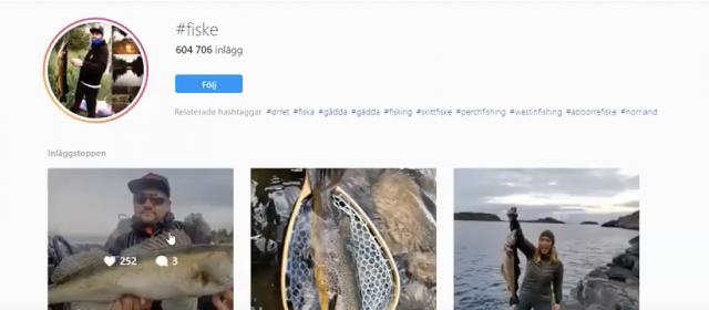 Skärmdump av Instagram, på skärmdumpen syns det personer som håller upp fiskar