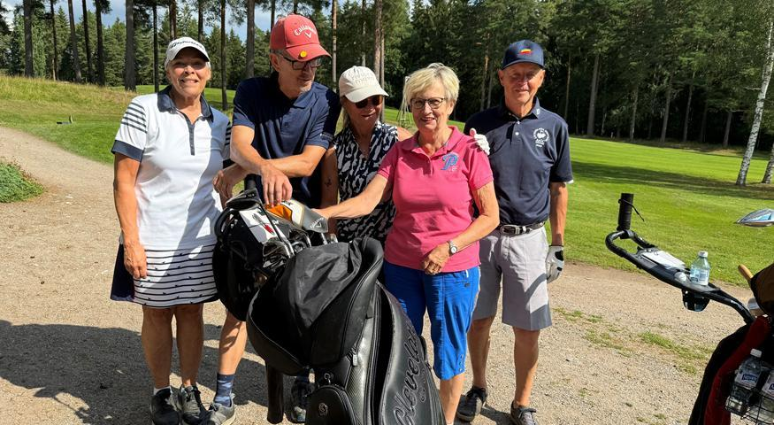 Fem golfare står i solskenet.