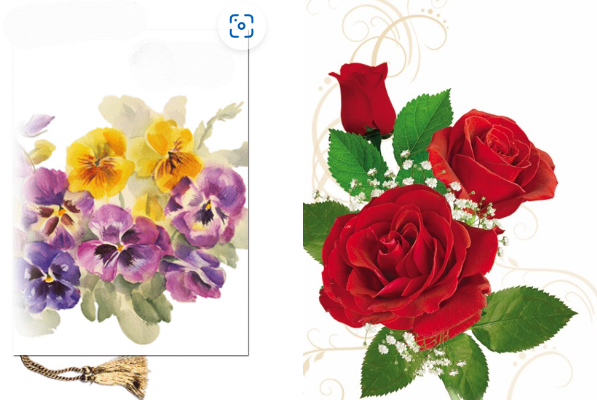 Bilden visar två illustrationer: till vänster, gula och lila penséer med gröna blad; till höger, tre röda rosor med gröna blad och små vita blommor, mot en vit bakgrund med dekorativa virvlar.