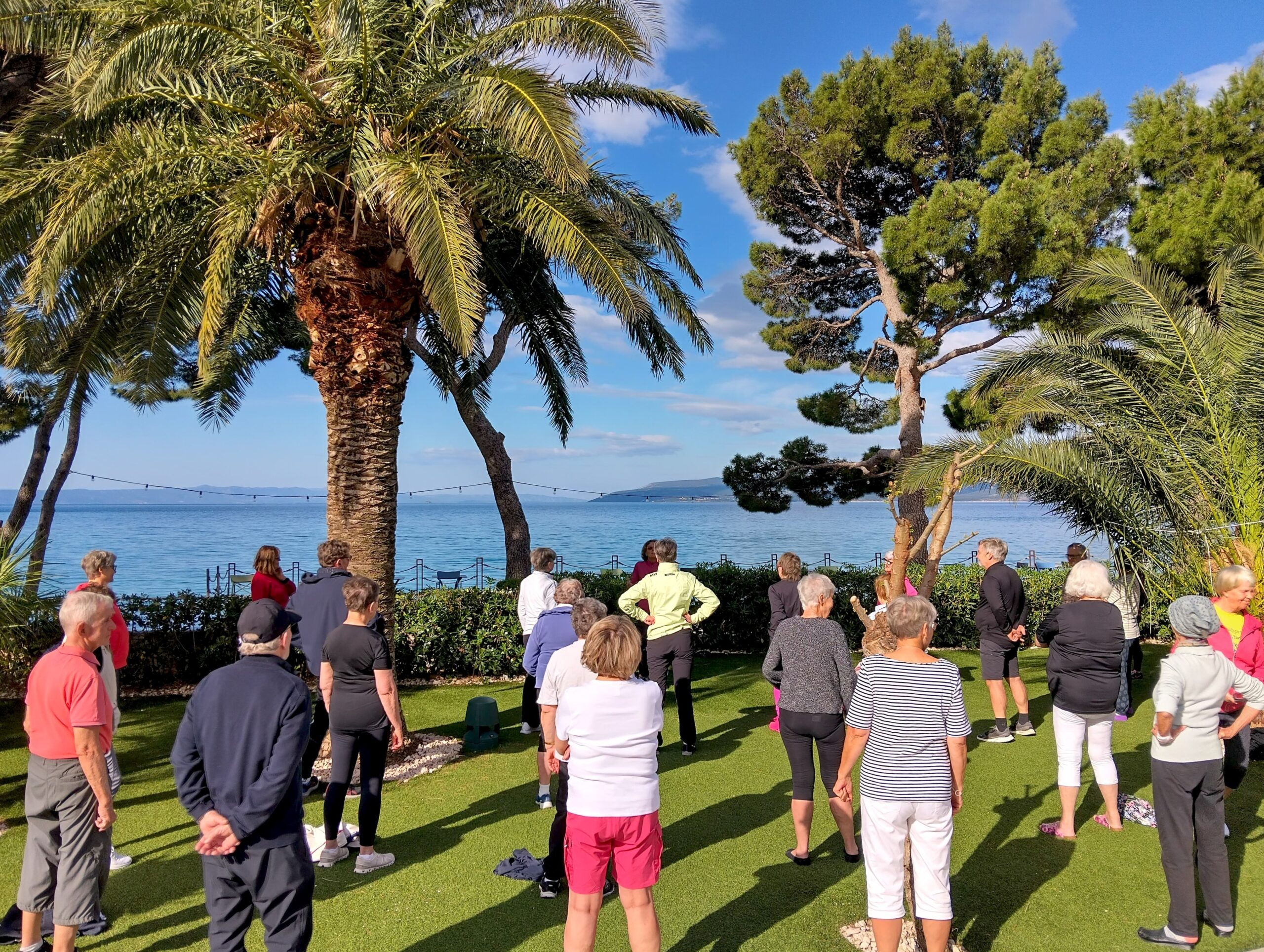 En grupp vuxna står på konstgräs under palmer, med utsikt över havet och en blå himmel. De ser ut att delta i en gruppövning eller stretching utomhus.